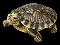 Yellow Belly Turtle Figurine