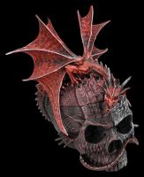 Dragon & Skull Box - Serpent Infection