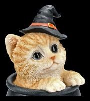 Tabby Witches Cat in Cauldron