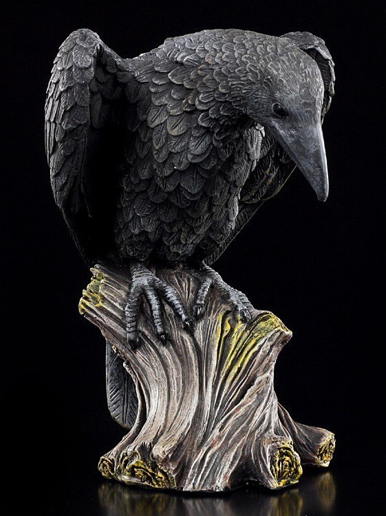 Black Raven sitting on Stump