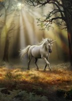 Fantasy Greeting Card - Glimpse of a Unicorn