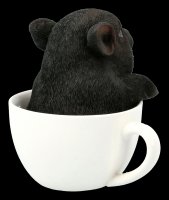 Schwarzes Schweinchen in Tasse