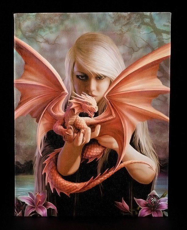 Small Canvas - Dragonkin by Anne Stokes