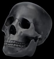 Skull black - Movable Jaw