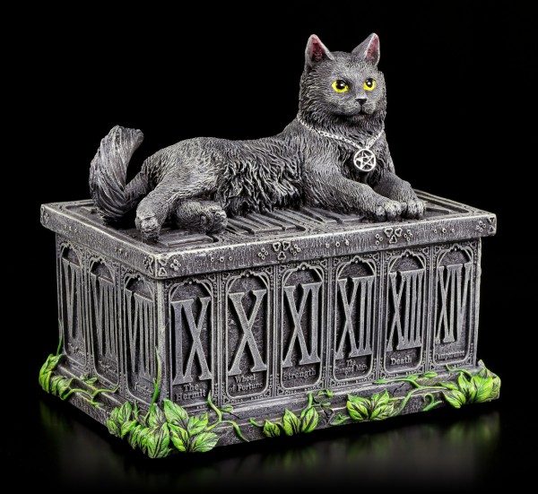 Tarot Card Box with Cat - Fortune's Watcher