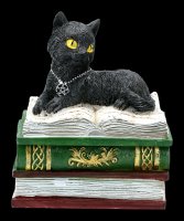 Box - Cat on green Books