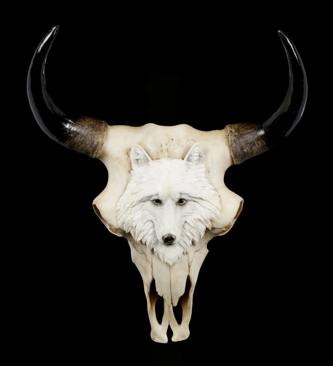 Large Bull Skull with Wolf - Native Spirit
