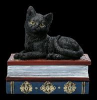 Box - Cat Figurine on Magic Books