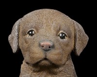 Hunde Figur - Schoko Labrador Welpe