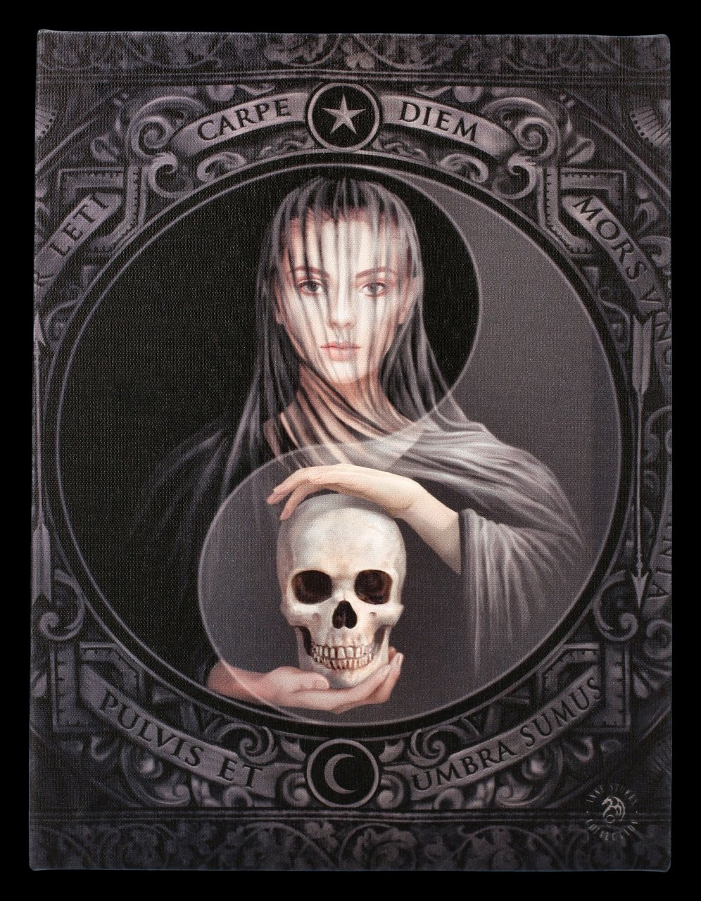 Small Canvas with Skull - Beyond the Veil