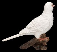 Garden Figurine - White Dove - Diamond Dove