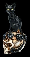 Alchemy Cat on Skull - small
