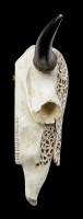 Wall Plaque Bull Skull with Ornaments