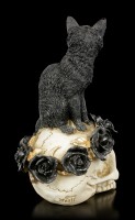 Alchemy Cat on Skull