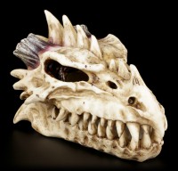 Box - Comb Dragon Skull