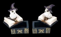 Snowy Owl Box - Wizard Set of 2