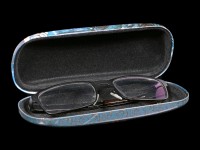 Glasses Case with Owl - The Heart of the Storm