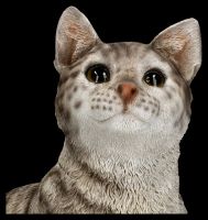 Gartenfigur - Katze sitzend grau getigert