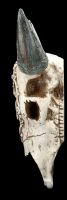 Wandrelief - Bison Totenkopf mit Verzierung