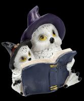 Owl Figurine - Magical Goodnight Story