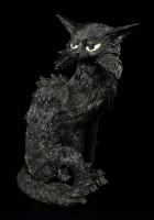 Schwarze Katzen Figur - Salem
