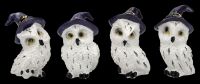 Owl Set - 12 White Owls with Wizard Hat