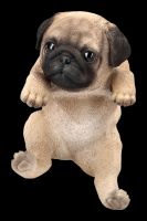 Pug Puppy Figurine as Flowerpot Hanger
