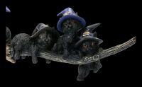 Lustige Hexen-Katzen spielen auf Besen