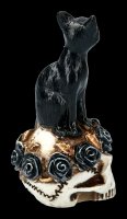 Alchemy Cat on Skull - small