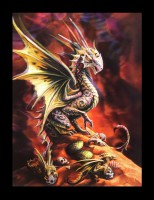 3D-Picture - Desert Dragon by Anne Stokes