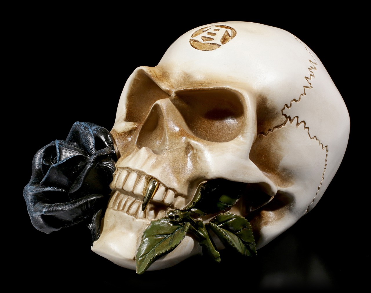 Totenkopf - Alchemisten Schädel mit schwarzer Rose