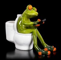 Lustige Frosch Figur auf Toilette