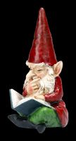 Gnome Figurines Set with Book and Stick