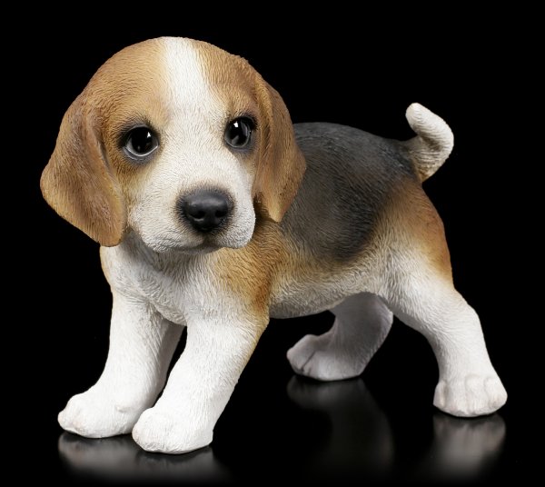 Westie Welpe in Tasse Süßes Hundebaby Geschenk Deko Hunde Figur mini