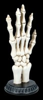 Skeletthand zum Handlesen - Palmistry