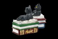 Boxes Set of Two - Cats on Books Small