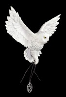 Wall Plaque white Owl - Awaken your Magic