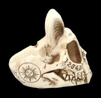 Ashtray Cat Skull in Ouija Design