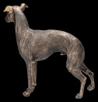 Hunde Figur - Greyhound Rüde