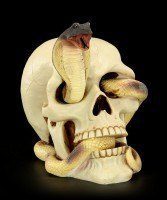 Skull - Cobra winds through the eye
