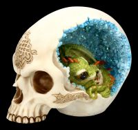 Skull with Dragon - Celtic Cave