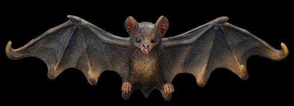 Key Holder - Brown Bat