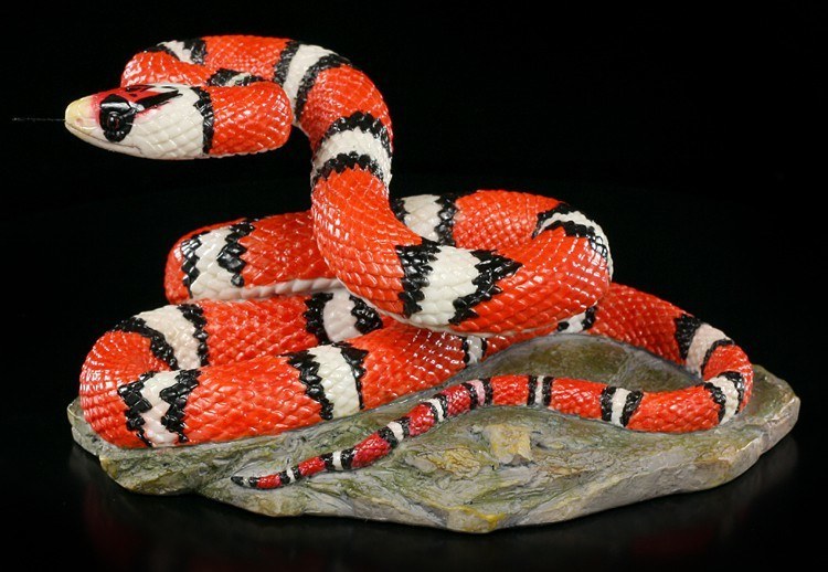 Schlangen Figur - Königsnatter