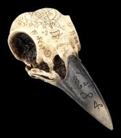 Skull - Raven Skull with Mystic Symbols