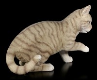 Katzen Figur - Amerikanisch Kurzhaar