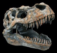 Totenkopf - Tyrannosaurus Rex - mittel