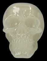 Skull Figurine - Phosphorescent