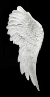 Wall Ornament - Angel Wings with Glitter
