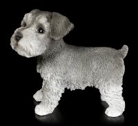 Dog Figurine - Schnauzer Puppy