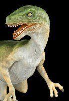 Dinosaur Figurine - Velociraptor - colored